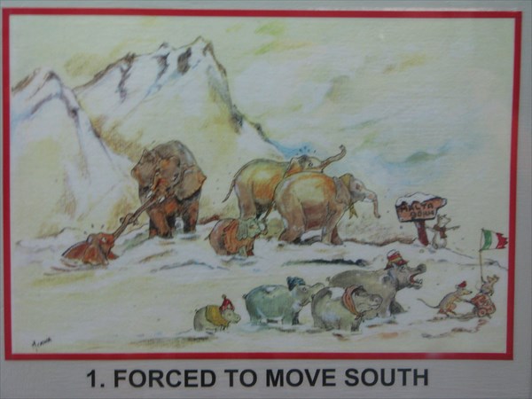 917-Слоны идут на юг